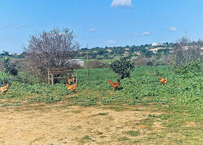 Quinta Do Bravo - Swimming Pool - By Bedzy 西尔韦斯